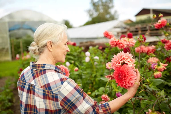 Mulher sênior com flores no jardim de verão — Fotografia de Stock