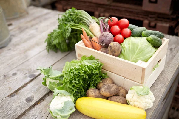 Close-up de legumes na fazenda — Fotografia de Stock
