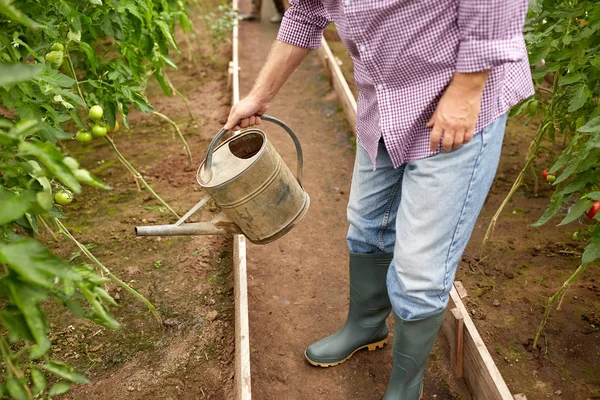 Homme âgé avec arrosoir à la ferme serre — Photo