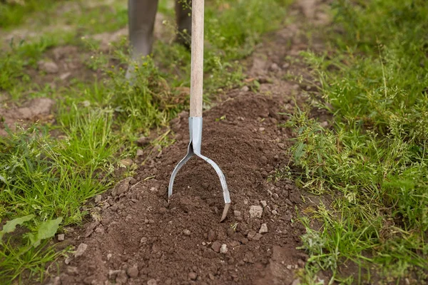 Rearer wieden tuin bed op boerderij — Stockfoto