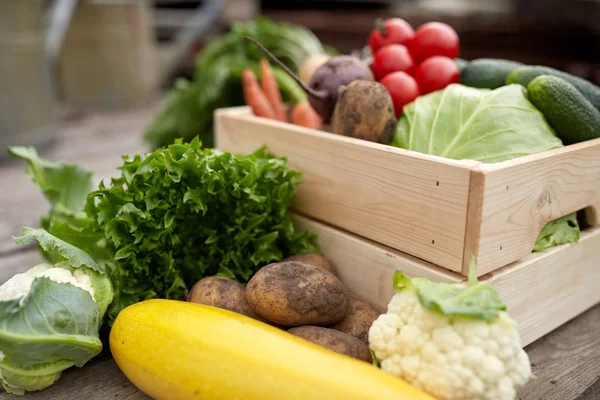 Närbild på grönsaker på gården — Stockfoto