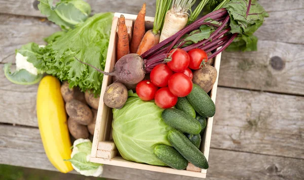 Close-up de legumes na fazenda — Fotografia de Stock