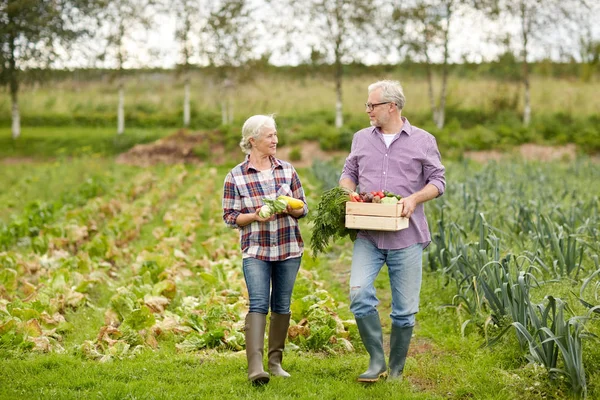 高级夫妇与框的蔬菜农场 — 图库照片