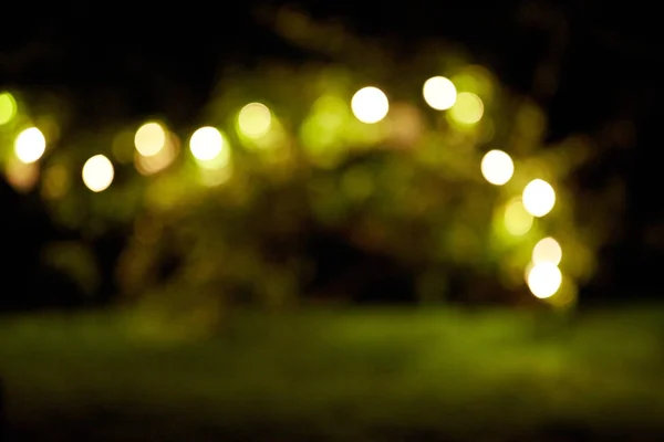 Garland lights at night summer garden background — Stock Photo, Image