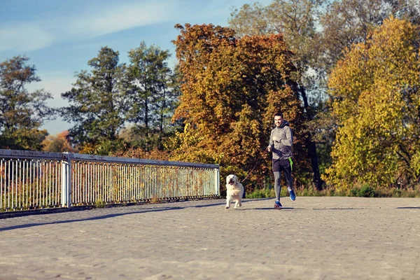 Hombre feliz con perro labrador corriendo al aire libre — Foto de Stock