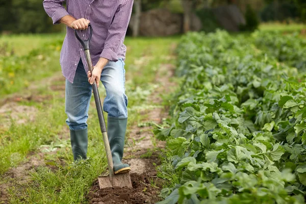 Senior man with shovel digging garden bed or farm — Stock Photo, Image