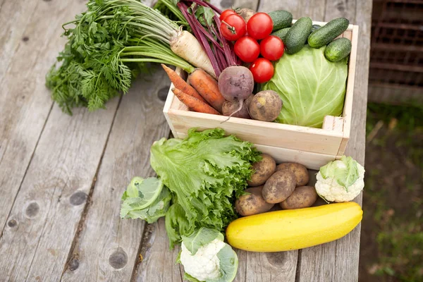 Primer plano de las verduras en la granja — Foto de Stock