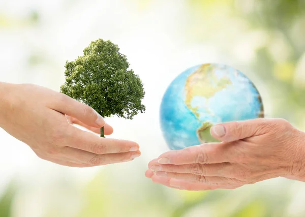 Handen met groene eiken boom en Aarde planeet — Stockfoto