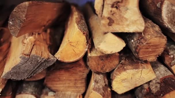 Stapel brandhout — Stockvideo