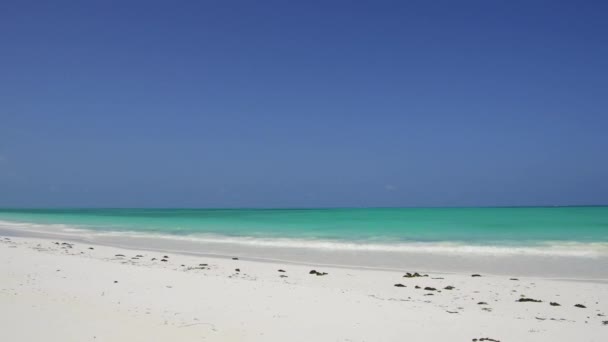 Spiaggia sulla riva dell'oceano indiano a zanzibar, tanzania — Video Stock
