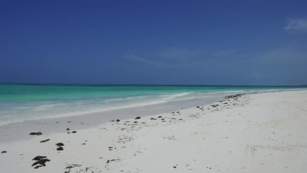 Spiaggia sulla riva dell'oceano indiano a zanzibar, tanzania — Video Stock
