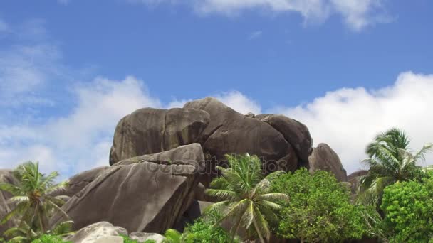 Strand med stenar och palmträd i Afrika — Stockvideo