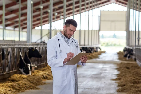 Veterinario con vacas en establo en granja lechera —  Fotos de Stock