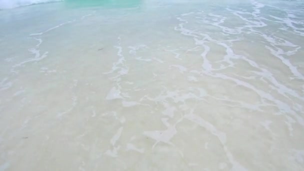 Mer ou océan Indien vagues sur la plage — Video