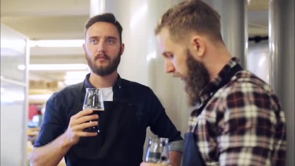 Içme ve bira bira fabrikası, test ile erkekler — Stok video