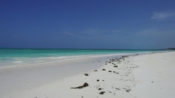 Playa en la orilla del océano Índico en zanzíbar, tanzania — Vídeo de stock