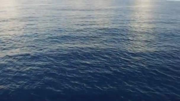 Морська або океанічна вода — стокове відео