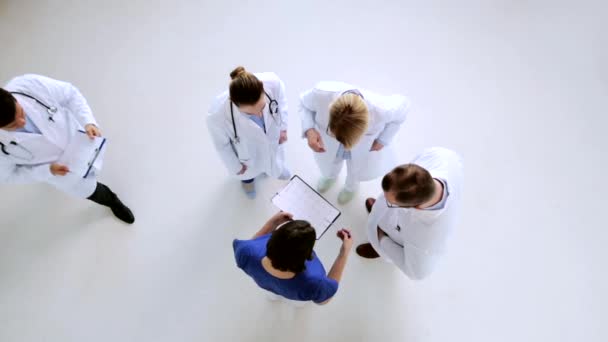 Groupe de médecins discutant cardiogramme à l'hôpital — Video
