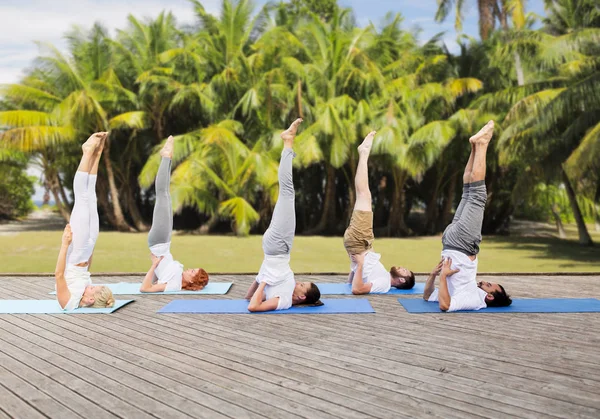 Люди делают yoga в shoulderstand позе на циновке — стоковое фото