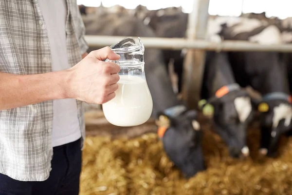 Close up of man or farmer with milk on dairy farm — Stock Photo, Image