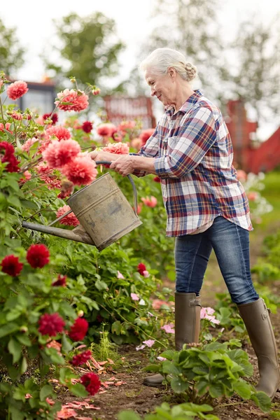 Mulher sênior regando flores no jardim de verão — Fotografia de Stock