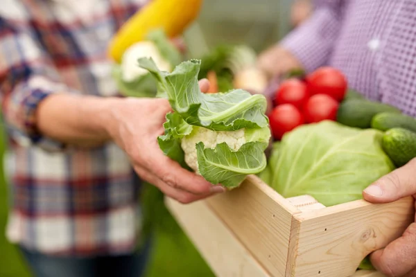 Casal sênior com caixa de legumes na fazenda — Fotografia de Stock