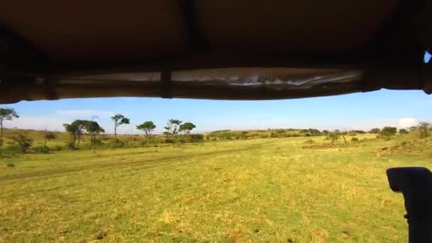 Off-road carro dirigindo através da savana em África — Vídeo de Stock
