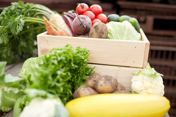 Närbild på grönsaker på gården — Stockfoto