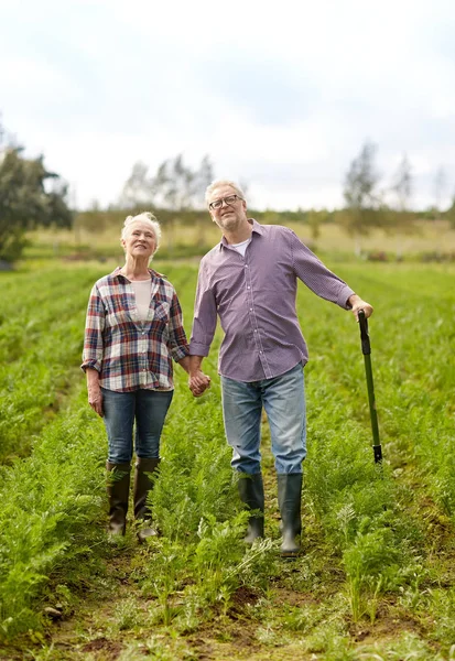 Šťastný pár senior v létě farm Stock Fotografie