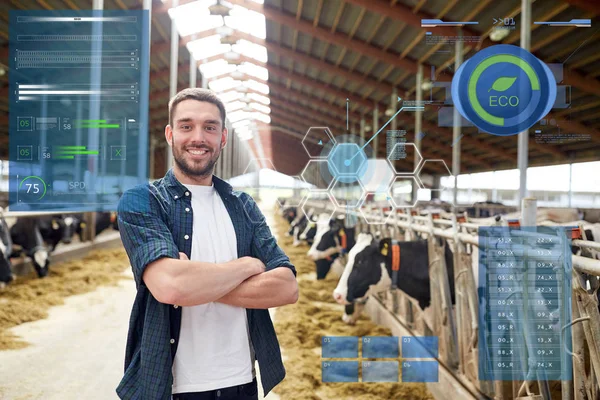Hombre o agricultor con vacas en establo en granja lechera — Foto de Stock