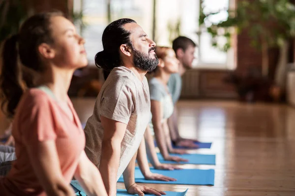 Grupp människor som gör yoga hund poserar på studio — Stockfoto