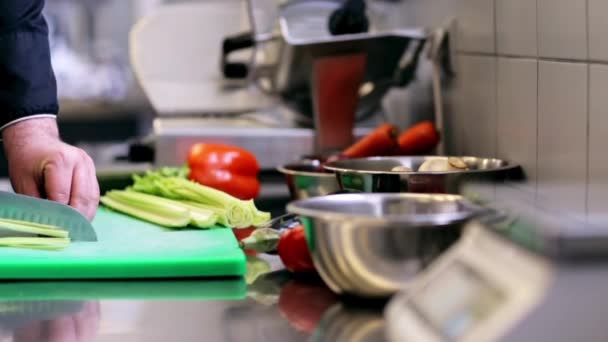 Manos de cocinero masculino cocinar apio picado en la cocina — Vídeo de stock