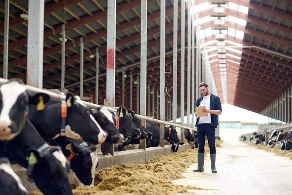 Mezőgazdasági termelő vágódeszkával és tehénnel a tehénistállóban a gazdaságban — Stock Fotó