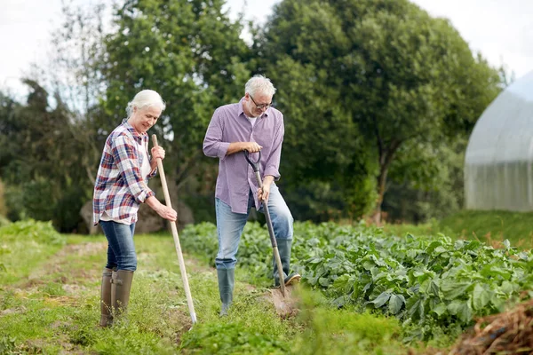 Senior couple with shovels at garden or farm — Stock Photo, Image