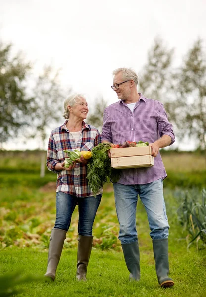 Senior couple with box of vegetables on farm — Stock Photo, Image