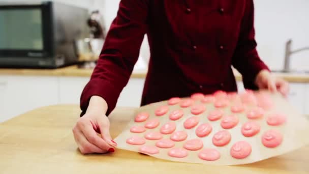 Chef com massa de macaron na confeitaria — Vídeo de Stock