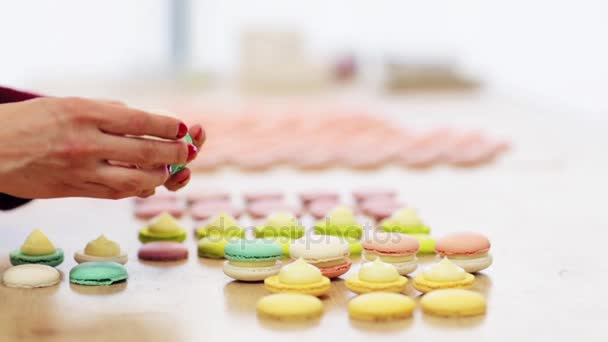 Chef sándwiching macarons conchas con crema — Vídeos de Stock