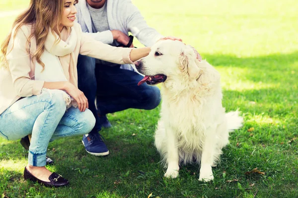 Close up of couple with labrador dog outdoors — Stock Photo, Image