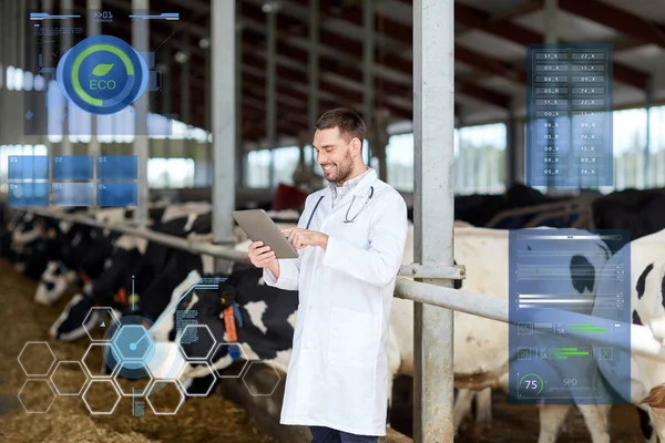 Veterinario con la tableta PC y vacas en la granja lechera — Foto de Stock