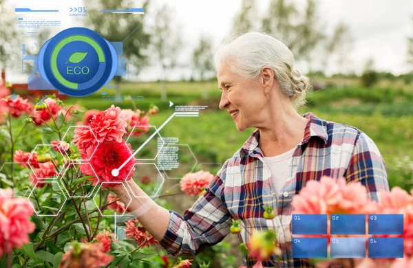 Senior Kvinna med blommor på sommaren garden — Stockfoto