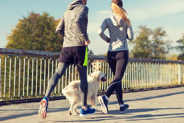 Close up de casal com cão correndo ao ar livre — Fotografia de Stock