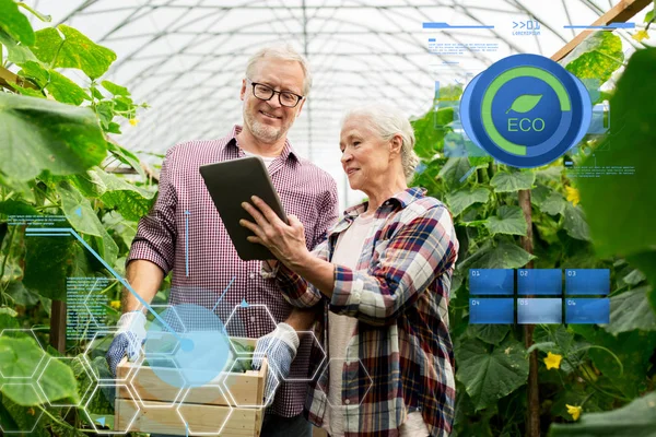 Seniorenpaar mit Gurken und Tablet-PC auf Bauernhof — Stockfoto