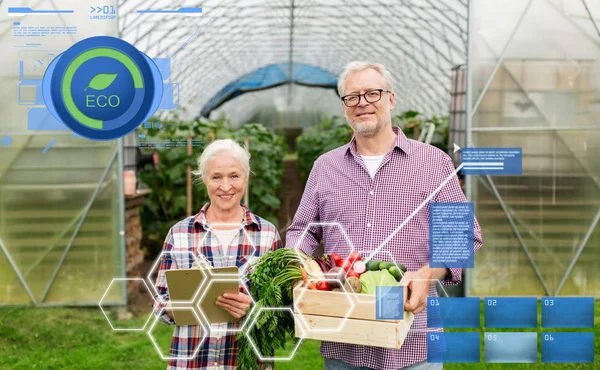 Senior paar met doos met groenten op boerderij — Stockfoto