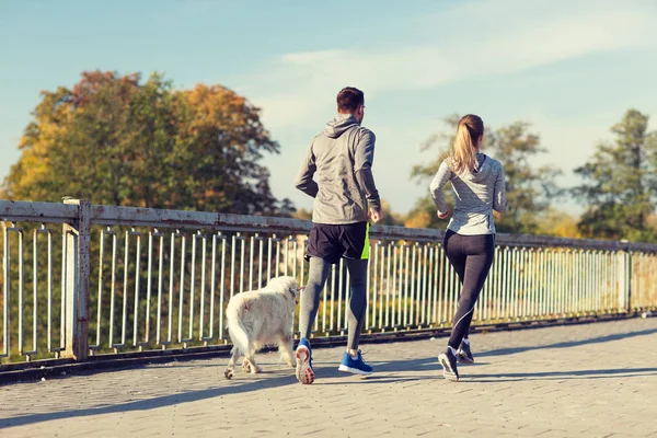 Couple with dog running outdoors — Stock Photo, Image