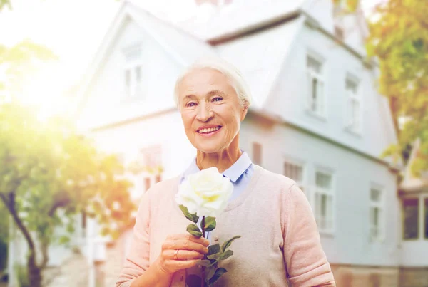 Felice donna anziana con fiore di rosa a casa Foto Stock Royalty Free