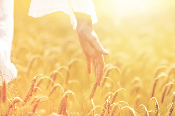 Primer plano de la mano de mujer en el campo de cereales —  Fotos de Stock