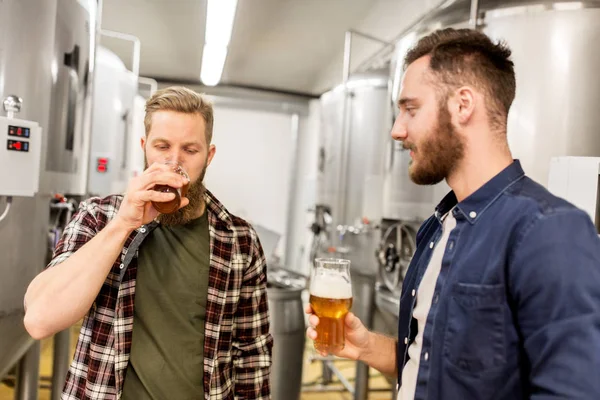 Muži pijící a testující řemeslné pivo v pivovaru — Stock fotografie