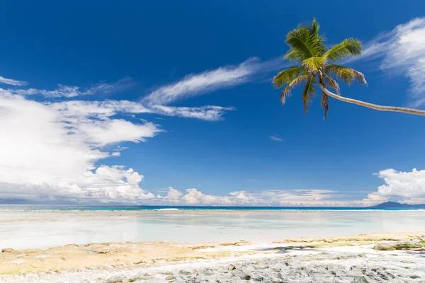 Ö strand i Indiska oceanen på seychellerna — Stockfoto