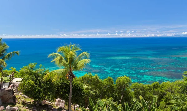 View to indian ocean from island with palm trees Stock Image