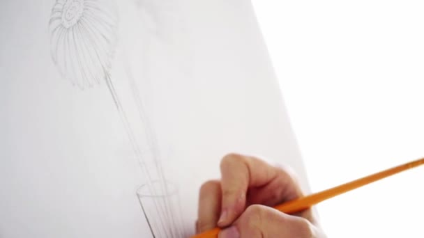 Artiste avec dessin au crayon nature morte sur papier — Video